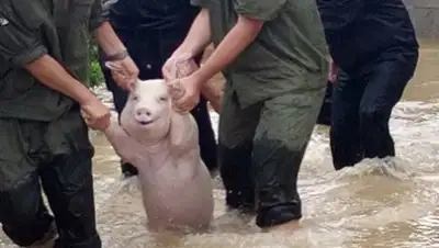 Zakon.kz, фото - Новости Zakon.kz от 29.08.2017 10:27