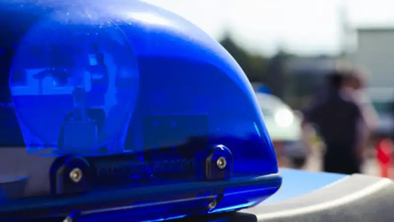 18-летнего порноактера из Казахстана задержали в Санкт-Петербурге