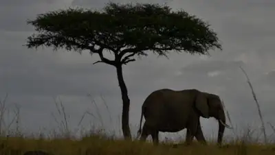 Zakon.kz, фото - Новости Zakon.kz от 27.10.2016 16:18