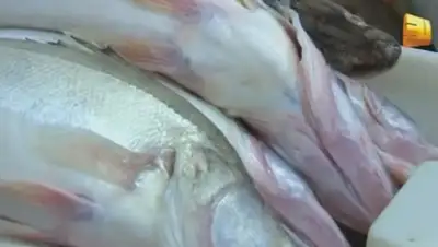 Zakon.kz, фото - Новости Zakon.kz от 30.01.2015 16:07