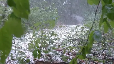 штормовое предупреждение, фото - Новости Zakon.kz от 23.05.2023 19:37