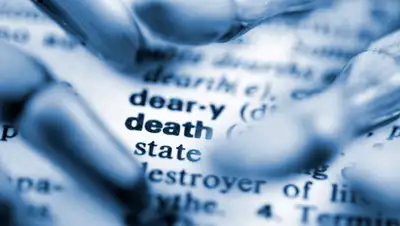 factcheck.kz, фото - Новости Zakon.kz от 10.04.2020 19:30