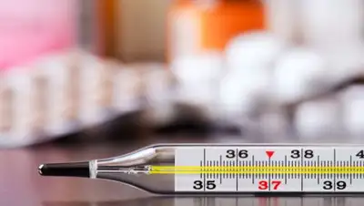 Zakon.kz, фото - Новости Zakon.kz от 03.04.2017 18:36