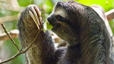 Zakon.kz, фото - Новости Zakon.kz от 10.11.2016 22:05