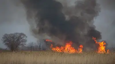 степь, фото - Новости Zakon.kz от 15.06.2023 21:53