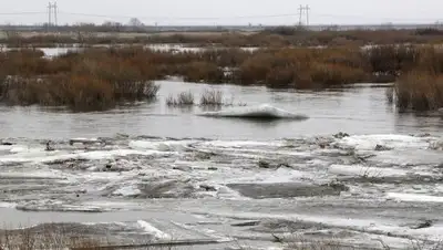 inform.kz , фото - Новости Zakon.kz от 27.03.2018 08:23