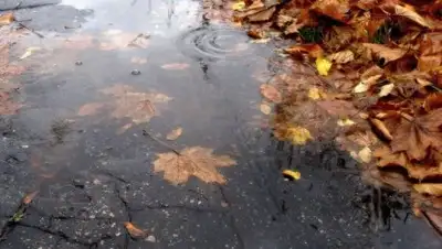 ti71.ru, фото - Новости Zakon.kz от 15.10.2018 11:39