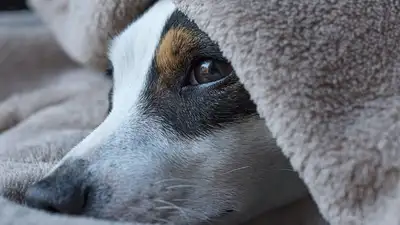 советы, врач, фото - Новости Zakon.kz от 08.07.2023 23:51