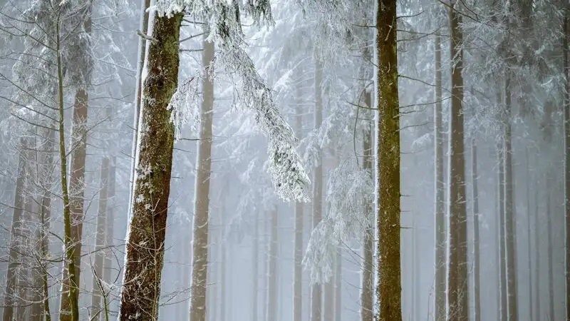 Второй раз за месяц в горах Алматы выпал снег