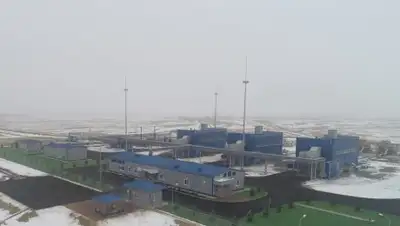 КТГ, фото - Новости Zakon.kz от 30.01.2019 17:41