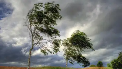 pixabay.com, фото - Новости Zakon.kz от 04.08.2020 17:28