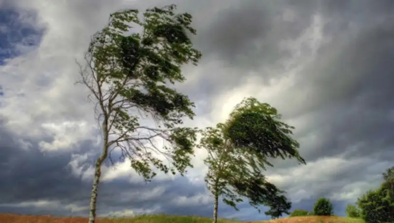 В Нур-Султане и девяти областях объявлено штормовое предупреждение