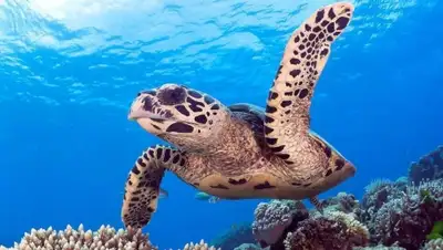 Zakon.kz, фото - Новости Zakon.kz от 13.01.2016 16:23