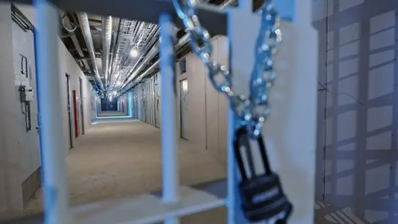 Два осужденных в России украинца попросили Путина о помиловании