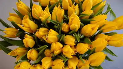 Zakon.kz, фото - Новости Zakon.kz от 07.03.2014 15:33