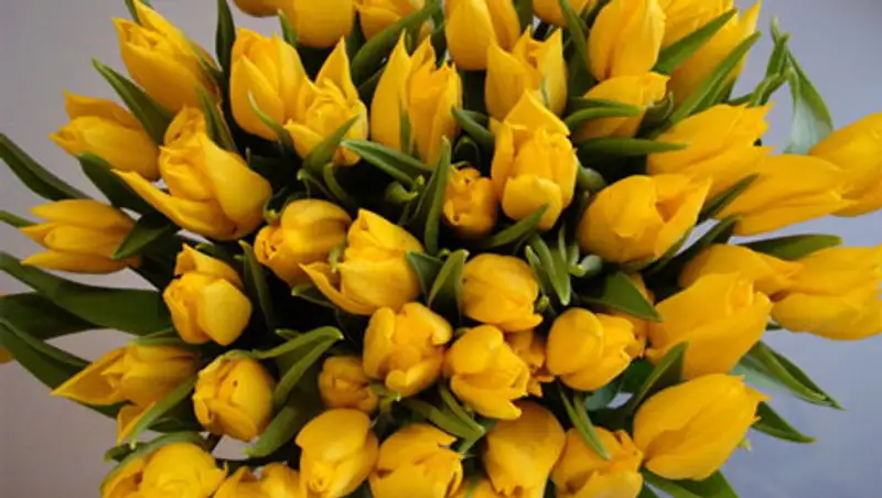 Женщины покупают цветы чаще, чем мужчины - исследование