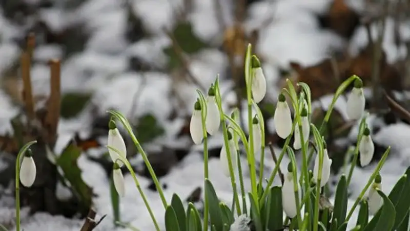 В Казахстане 21 марта сохранится неустойчивая погода
