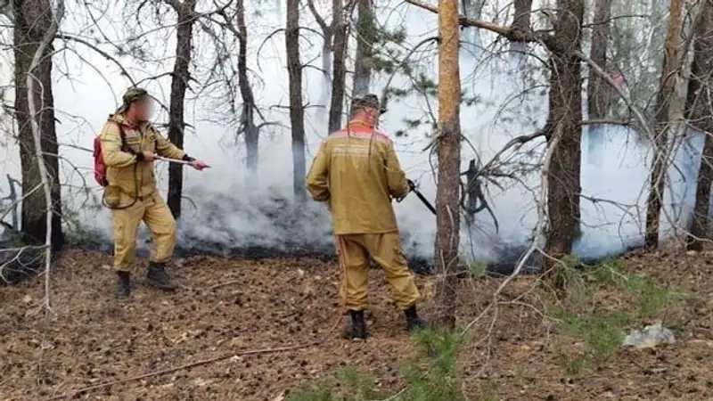 Работники "Семей-орманы" так и не дождались прибавки и написали жалобу Токаеву