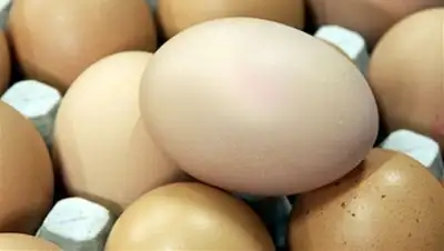 Zakon.kz, фото - Новости Zakon.kz от 29.01.2015 17:16