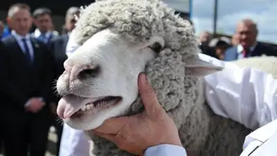 Zakon.kz, фото - Новости Zakon.kz от 02.09.2017 09:11