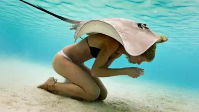 Zakon.kz, фото - Новости Zakon.kz от 26.11.2015 21:13