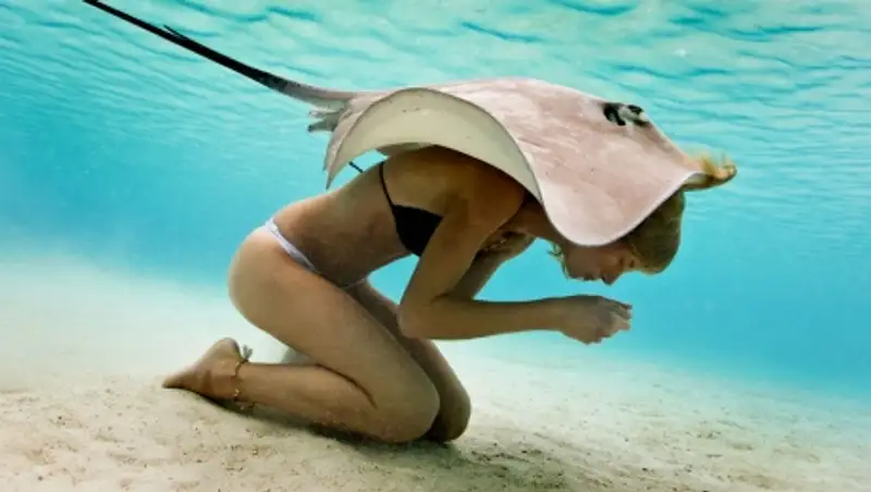 20 снимков животных, от которых невозможно оторвать взгляд