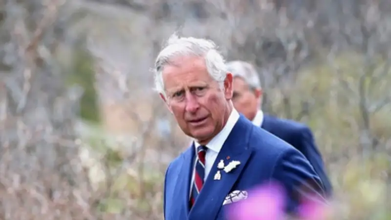 Суд разрешил опубликовать письма принца Чарльза, которые могут стоить ему короны