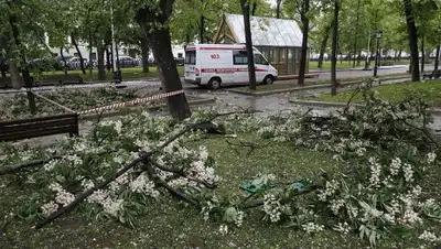 Zakon.kz, фото - Новости Zakon.kz от 30.05.2017 02:27