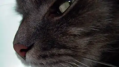 Zakon.kz, фото - Новости Zakon.kz от 07.06.2017 23:25