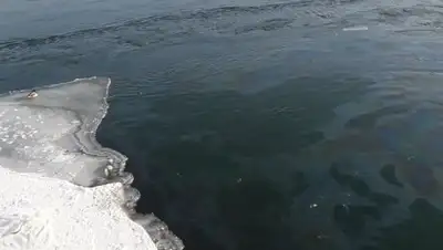 altaynews.kz, фото - Новости Zakon.kz от 05.02.2018 14:57