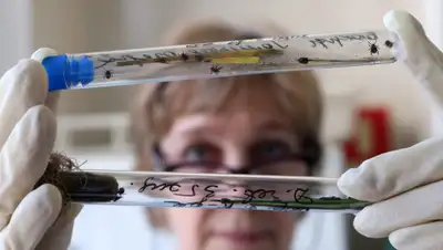 alev-biz.livejournal.com, фото - Новости Zakon.kz от 03.02.2020 10:20