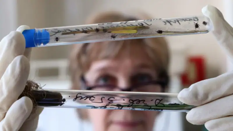 В Италии ученые смогли изолировать китайский коронавирус