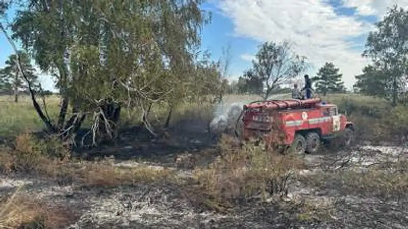 , фото - Новости Zakon.kz от 23.08.2023 15:05