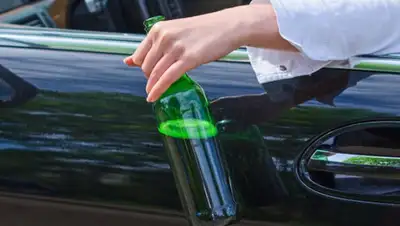 news.1777.ru, фото - Новости Zakon.kz от 29.04.2020 01:45