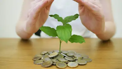 инвесторы, капитал, деньги, фото - Новости Zakon.kz от 29.11.2021 15:40