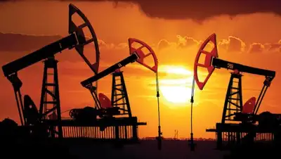 Zakon.kz, фото - Новости Zakon.kz от 25.11.2016 20:02