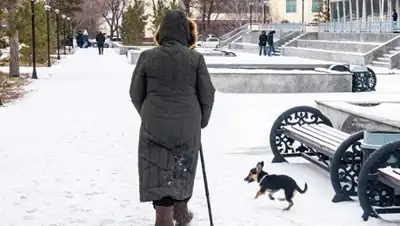 Zakon.kz, фото - Новости Zakon.kz от 19.02.2016 12:00