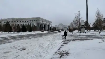 нур-султан, ураган, последствия, дчс, фото - Новости Zakon.kz от 30.03.2022 15:49
