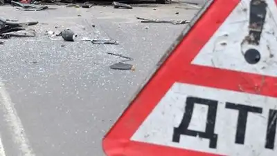 из открытых источников, фото - Новости Zakon.kz от 18.02.2018 22:04