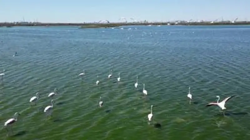 , фото - Новости Zakon.kz от 21.09.2023 11:35