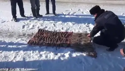 пресс-служба МВД РК, фото - Новости Zakon.kz от 28.11.2020 13:08