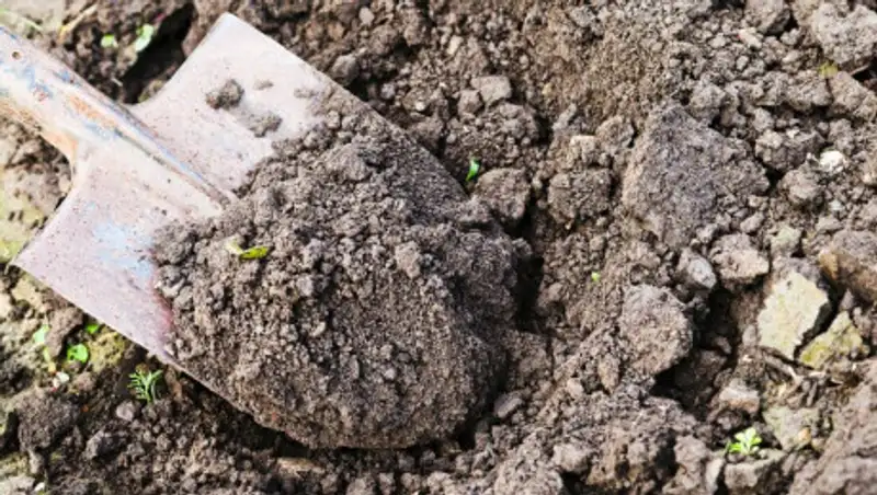 Забили до смерти и закопали на берегу. Появились подробности убийства в Атырау