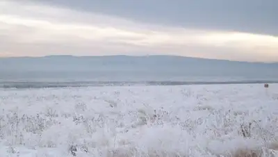 Zakon.kz, фото - Новости Zakon.kz от 02.02.2017 21:01