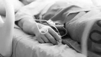 Azattyq Rýhy, фото - Новости Zakon.kz от 02.06.2020 13:31