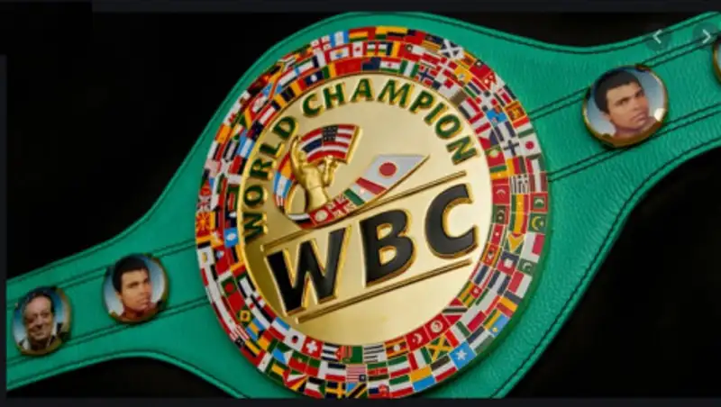 Что было на Конвенции WBC, рассказал казахстанец