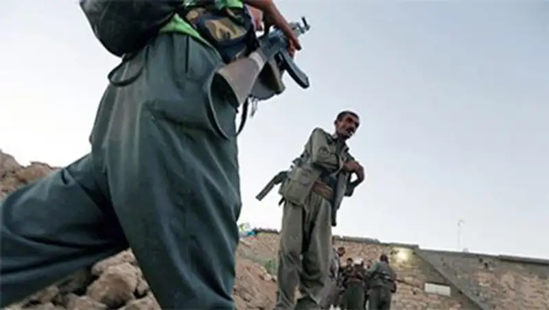 США начали поставлять оружие иракским курдам