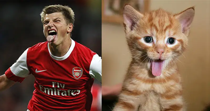 alt, фото - Новости Zakon.kz от 23.06.2015 18:28