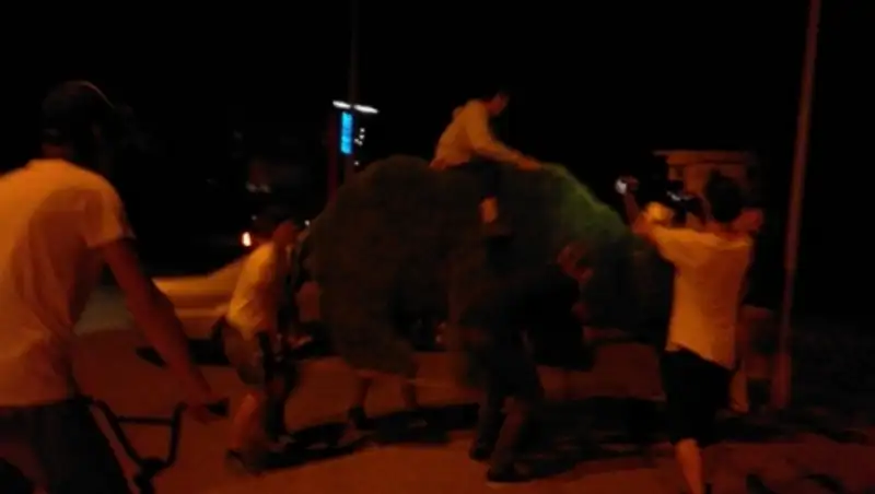 В Усть-Каменогорске молодые люди украли топиарного медведя, чтобы «покататься»