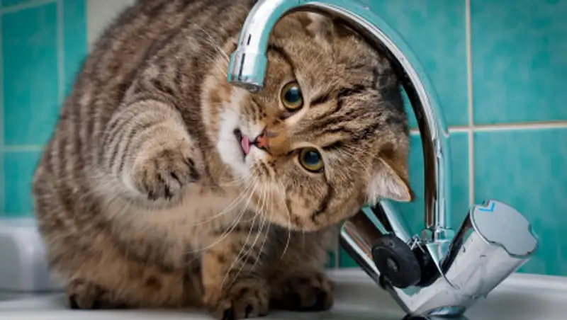 В Алматы отключат холодную воду