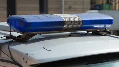 riafan.ru, фото - Новости Zakon.kz от 14.11.2019 09:49